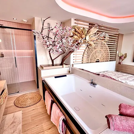 Apartment Blossom Suite-hyper Centre Jacuzzi Balcon Clim Lyon