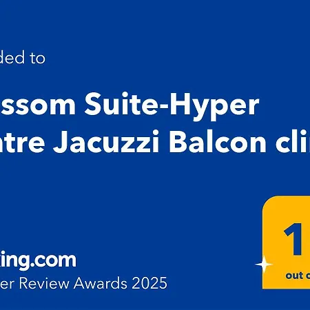 Blossom Suite-hyper Centre Jacuzzi Balcon Clim